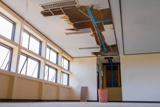 Best Ceiling water damage repair  in Munfordville, KY