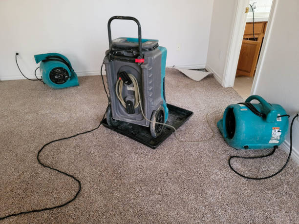 Trusted Munfordville, KY Water damage restoration Experts