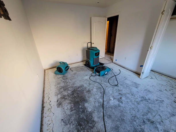 Best Water damage contractors near me  in Munfordville, KY