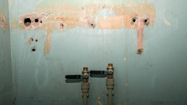 Best Emergency water damage restoration  in Munfordville, KY