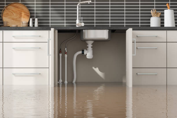 Best Mold removal after water damage  in Munfordville, KY