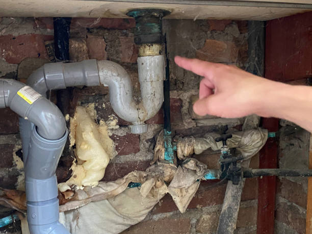 Best Commercial water damage restoration  in Munfordville, KY